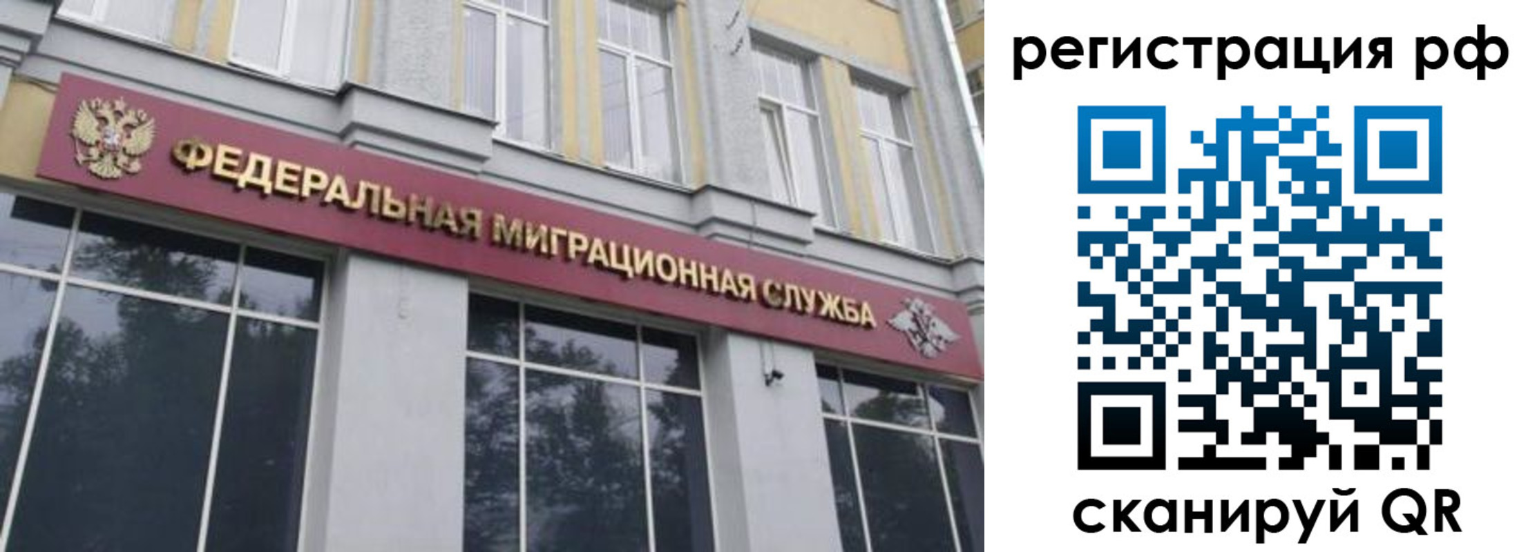 прописка законно в Бокситогорске